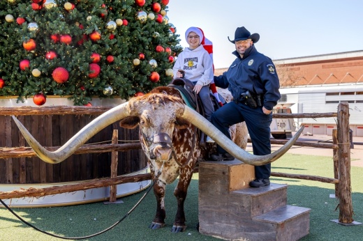 a child sits on a large steer
