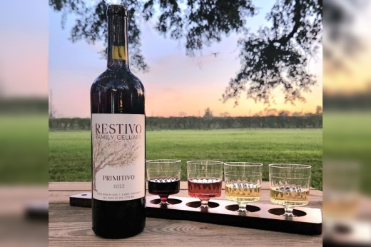 wine tasting samples