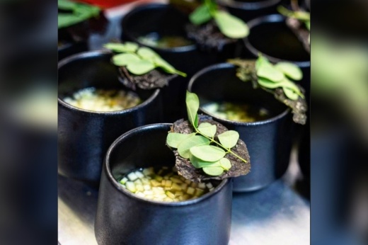 Black cups filled with a Filipino soup called tinola.