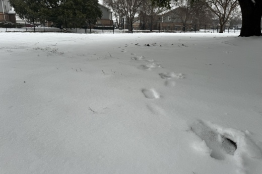 a grass area covered in snow