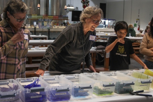 Butterfly sponsors can choose from a variety of glass colors, embellishments and materials to design their glass butterfly as part of the Dripping Springs Community Library fundraising campaign, Beyond Books, Building Community. (Elisabeth Jimenez/Community Impact)