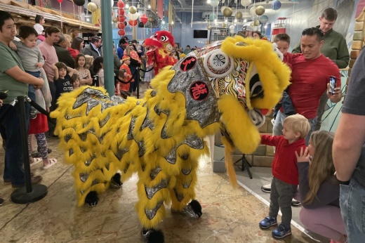 A child greens a Chinese New Year dragon
