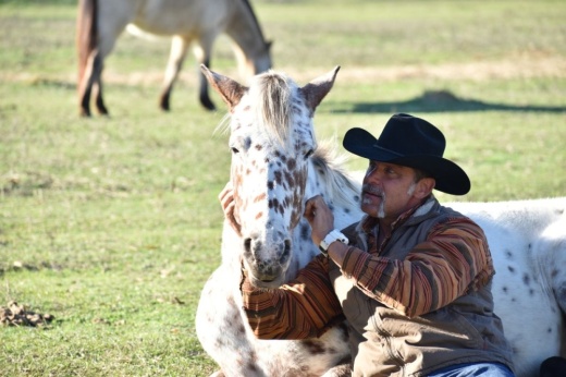 Ty Nordic, president of Cherokee Outlaw Ranch, sits with Rose, one of 27 horses found at the nonprofit. (Lizzy Spangler/Community Impact)