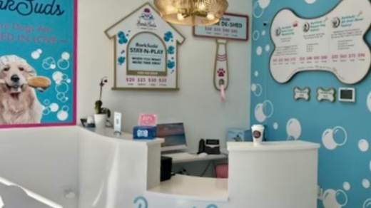 The dog grooming membership club's initial Bath S'paw membership will be $45 a month and includes bathing, blowouts and brushing. (Courtesy BarkSuds)