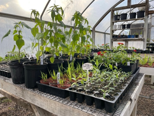 Learn all about nature at Jesse H. Jones Park & Nature Center’s 21st annual Nature Fest on March 1. (Courtesy Jessie H. Jones Park & Nature Center)