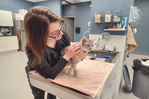 Female holding cat on a table in a medical setting.