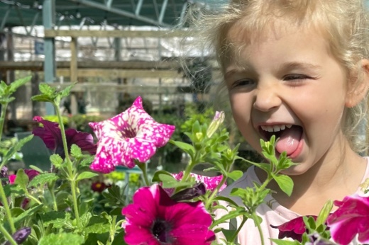A child laughs while looking closely at a pink flower at the garden center.
