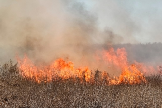 Local emergency services officials are working to contain vegetation fires in Hays County. (Courtesy Adobe Stock)