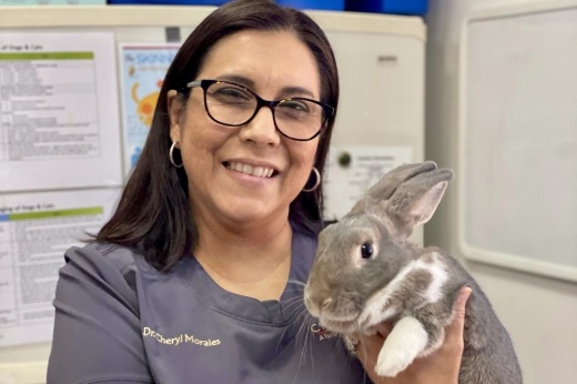 owner and rabbit