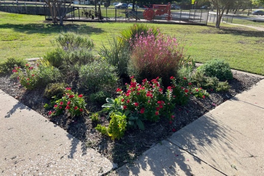 Square garden with plants and flowers planted in it.