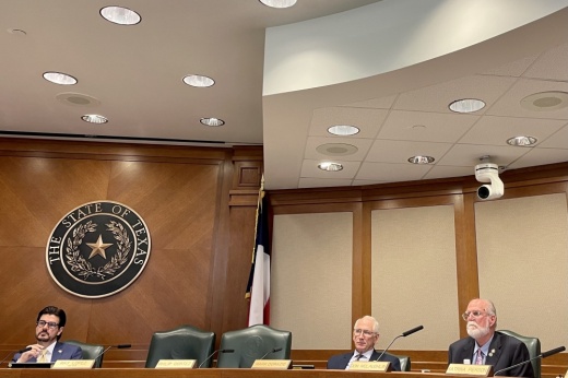 Texas House lawmakers listen to a speaker during a March 19 hearing.