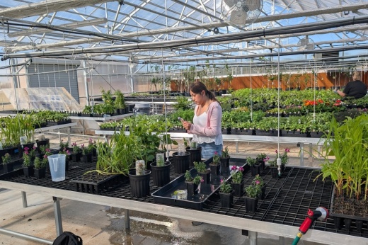 Agriculture Horticulture students began using the greenhouse at the start of the spring semester. (Courtesy Houston Community College)