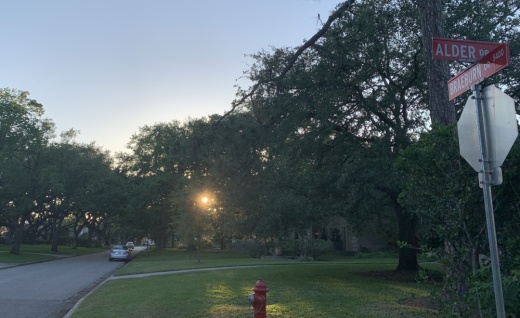 A public hearing will be held on May 5 to hear a request to install speed humps on the 5400 block of Braeburn Drive. (Kevin Vu/Community Impact)