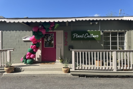 Plant Culture is located in the building behind the ARTitude Cottage in downtown New Braunfels. (Amira Van Leeuwen/Community Impact)