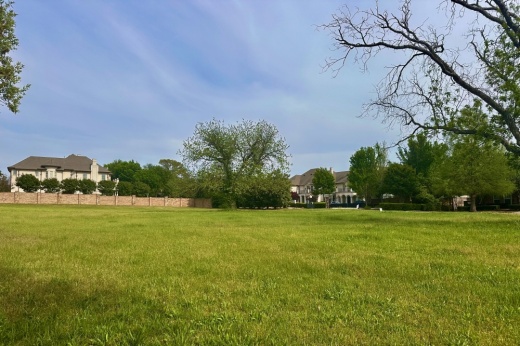 A clearing with trees and houses in the background