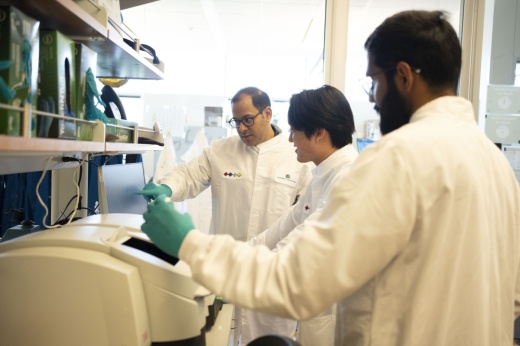 Dr. Girgis Obaid lab developing new targeted cancer treatments using light.