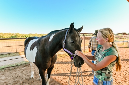 An image of a leadership team member with the horses.