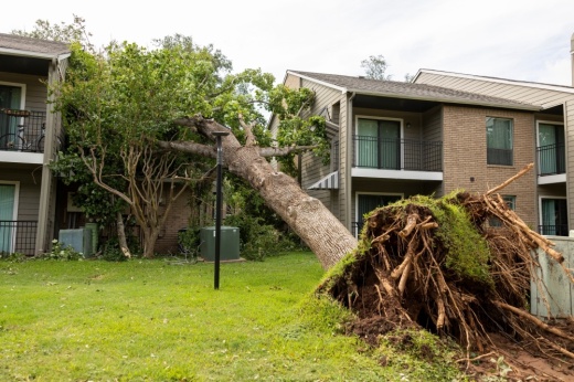 Hurricane Beryl left more than 2 million Houstonians without power for days. (Courtesy city of Sugar Land)