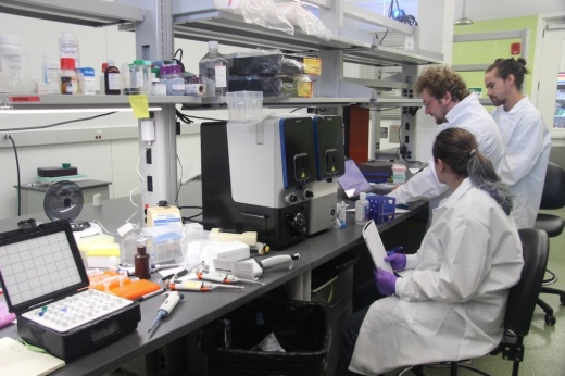 Austin Community College’s Bioscience Incubator offers shared lab spaces for early-stage life sciences businesses, which includes health care, biological research and technology. (Ben Thompson/Community Impact)
