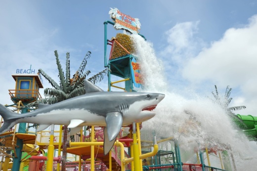 Hawaiian Falls Roanoke