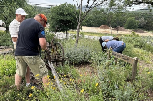 Volunteers work outside in an outdoor native plant garden,