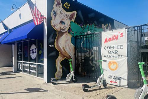 Dozens of Austin businesses line the planned Austin Light Rail route, with funding annually reserved to assist those impacted by future displacement. (Haley McLeod/Community Impact)
