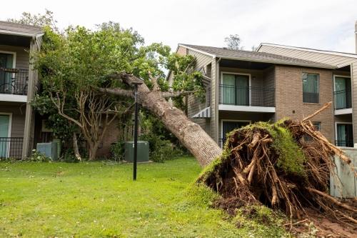 a tree fallen on top of an apartment