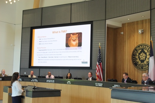 Animal Services Manager Hannah Golden speaks during an Oct. 6 McKinney City Council work session held at McKinney City Hall.