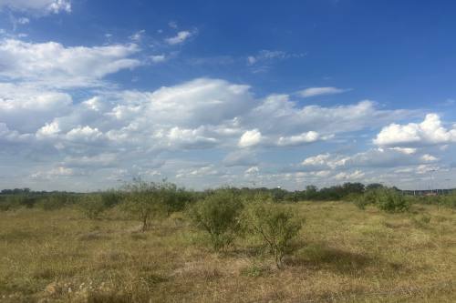 A patch of grassy land is seen in the extraterritorial jurisdiction portion of Universal City, Texas on a partly cloudy day.