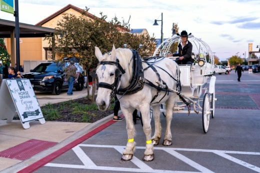 A horsedrawn carraige