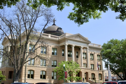 a courthouse is framed by trees in the foreground