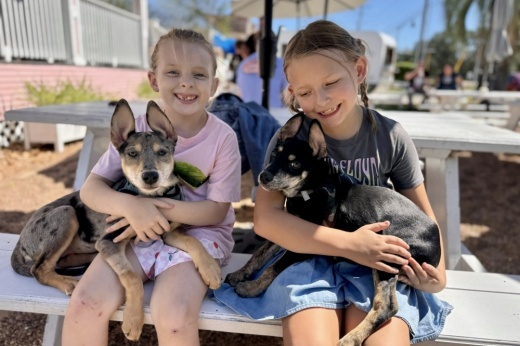 The rescue occasionally does pop-up events at Friendswood Scoop Shop. (Courtesy Three Little Pitties)