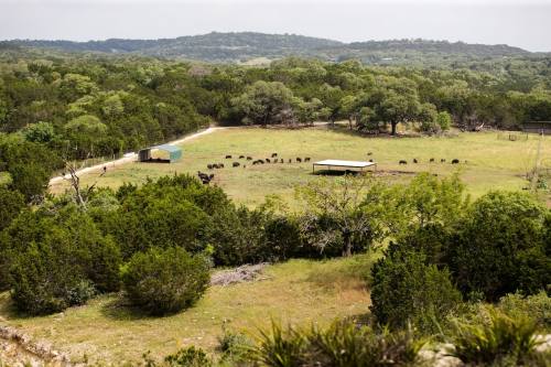WRR's private sanctuary in Kendalia is approximately 221 acres, located in the heart of the Texas Hill Country. (Courtesy Wildlife Rescue & Rehabilitation)
