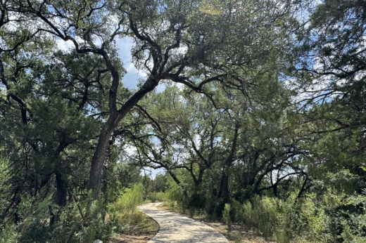a nature trail surrounded by trees