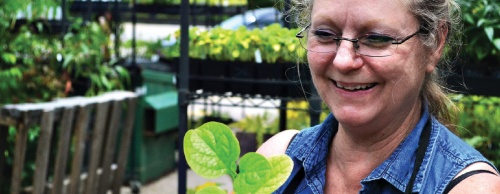 Owner Donna Hilliard opened Sweet Organic Solutions to help gardeners cultivate their gardens.