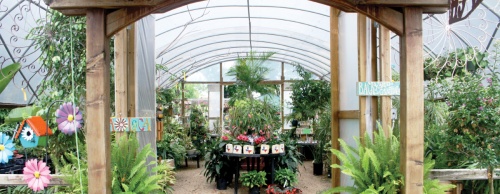More than 150 types of trees and 50 types of large shrubs are available at RCW Nurseries.