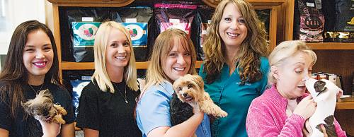 Dana Mayfield (center) operates Bed, Bath and Biscuit with the help of staff members (from left) Jennifer Read, Lindsay Holland, Dawn Burden and Marce Carlson.