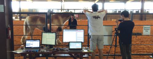 Engineering professors from Texas A&M University visit Ride On Center for Kids for equine therapy research.