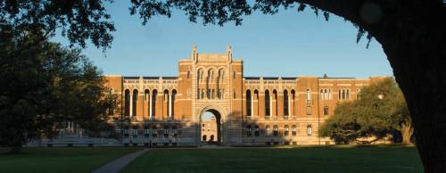 Rice University