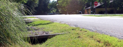 Streets in the Forest North neighborhood will be improved with new drainage ditches.