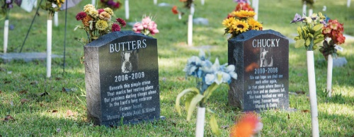  Families can choose to bury their pets at the cemetery located on the businessu2019s grounds.