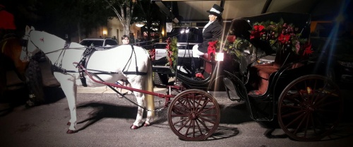 Weekend carriage rides will start this weekend in The Woodlands.
