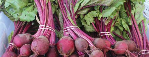 Gray Gardens offers a variety of produce at the Downtown Buda Farmers Market, including beets, eggplant and kale.
