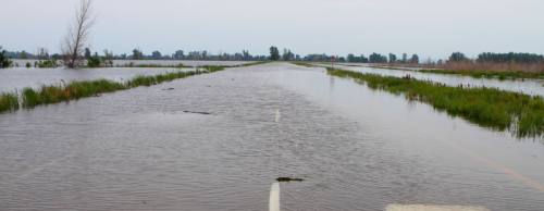 A Katy engineering firm was contracted for a flood planning study for the Cane Island Branch watershed.