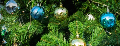 From Christmas tree recycling to a party at Wolf Ranch Town Center, there is plenty happening in Georgetown this week. 
