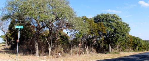 The corner of FM 2243 and CR 175 is one area that could be annexed into the city of Leander. 