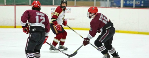 The Interscholastic Hockey League tournament is just one of the many events taking place in Cy-Fair this weekend. 