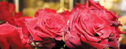 Event planning is at the crux of owner Lucas Chavezu2019s shop, however, the store also offers classic roses (starting at $75).