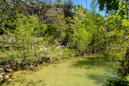 The city of Austin released its annual State of Our Environment report on Thursday.