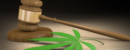 A new program designed to reduce the county's costs in pursuing misdemeanor marijuana prosecutions began on March 1 in Harris County.
